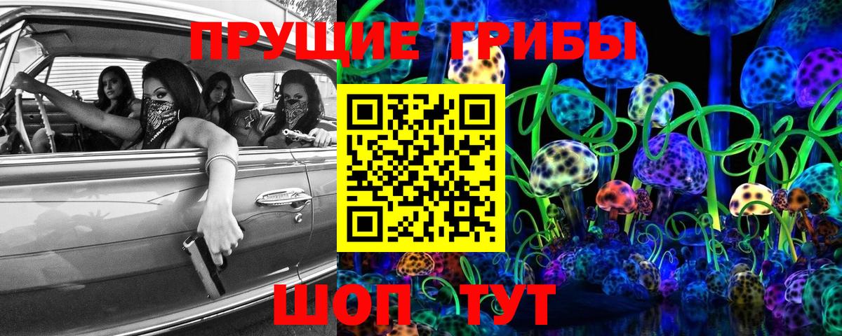 Псилоцибиновые грибы GOLDEN TEACHER Хабаровск